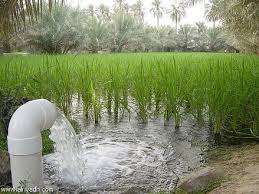 النشـــــــــــــــرة السنــــــــــــوية للــــــــرى والمـــوارد المائيـــــة 